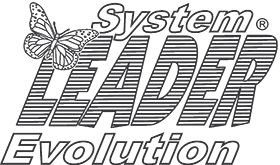 System Leader Evolution
