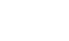 system-leader-evolution