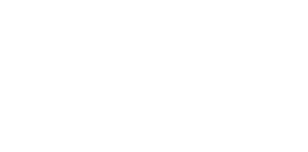 system-leader