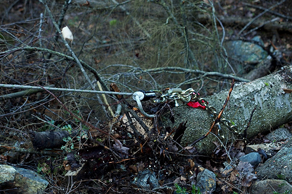 Traino di un tronco con il verricello PCW4500 