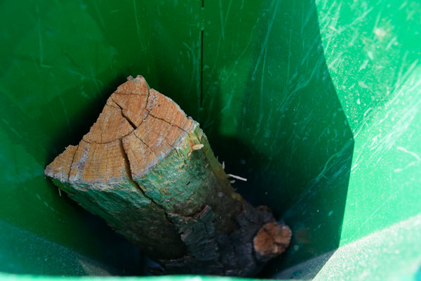 Revolver, Thor Italy