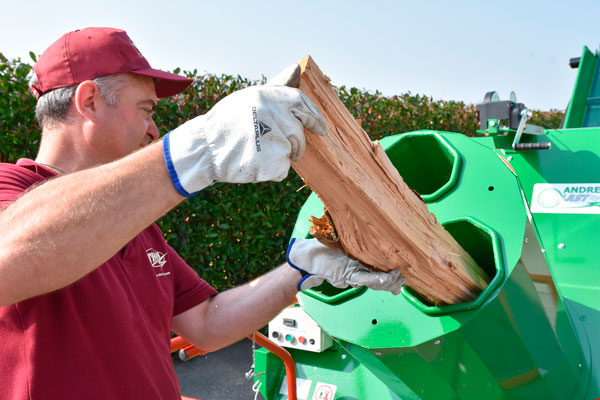 Revolver, Thor Italy