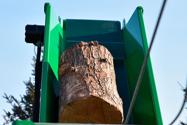 Tandem Thor Italy - ceppo sezionato